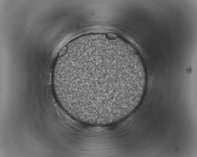 X0000113991459200911131107