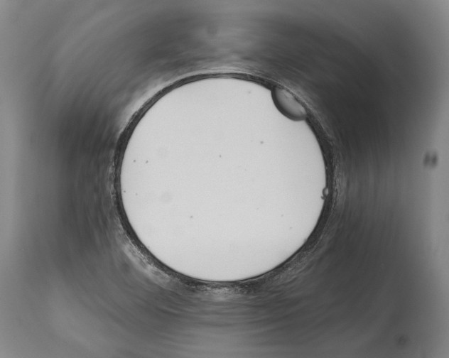 X0000113991460200911131107