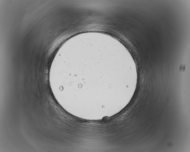 X0000113991461200911131107