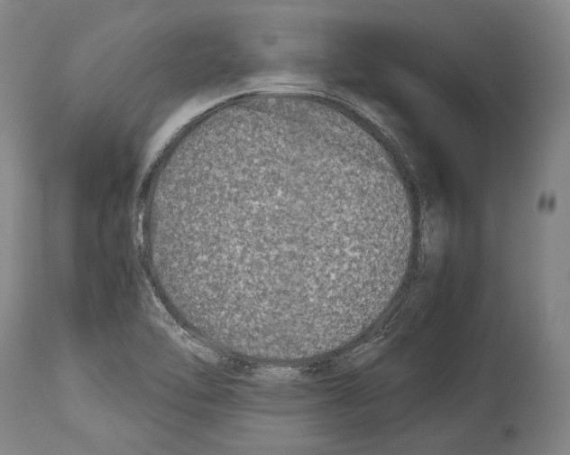 X0000113991462200911131107