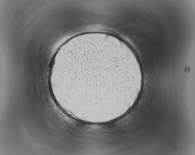 X0000113991463200911131107