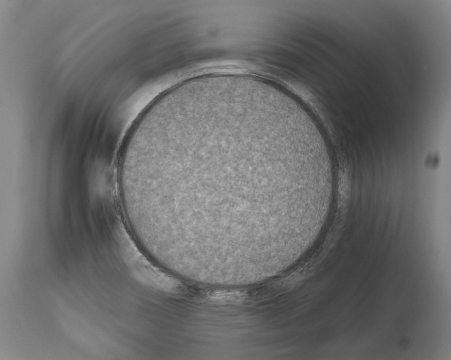 X0000113991466200911131107