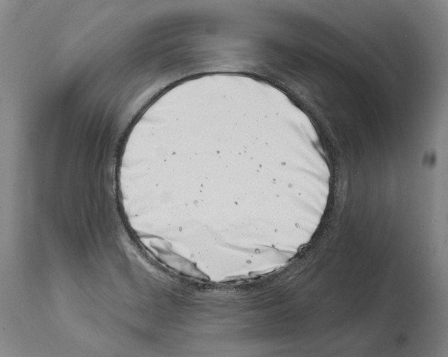 X0000113991468200911131107