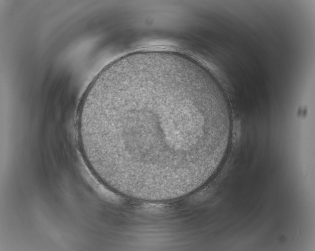 X0000113991470200911131107