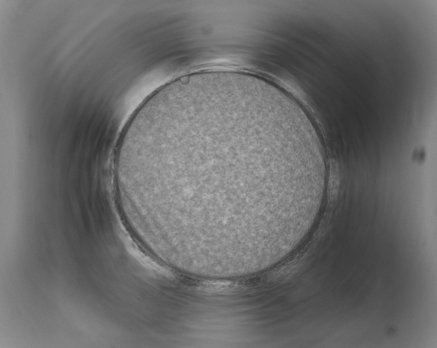 X0000113991474200911131107