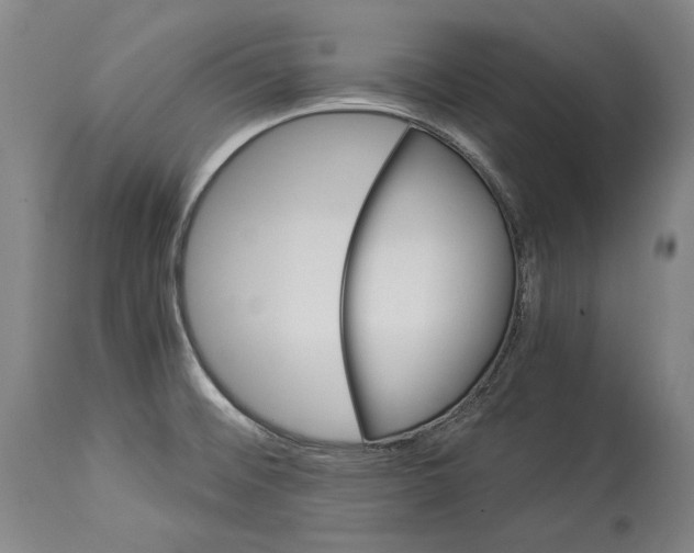 X0000113991476200911131107