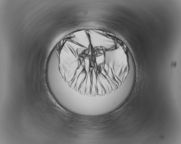 X0000113991477200911131107