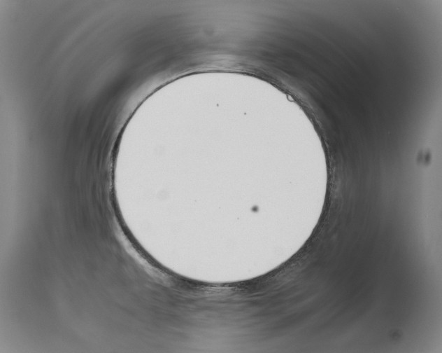 X0000113991479200911131107