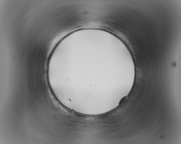 X0000113991480200911131107