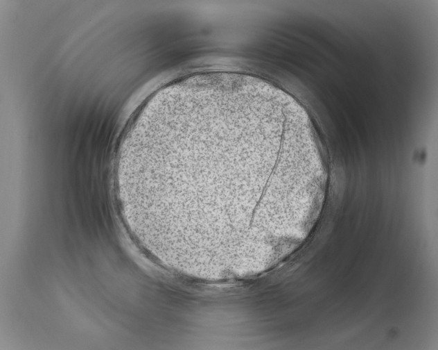 X0000113991482200911131107