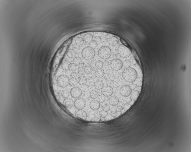 X0000113991483200911131107