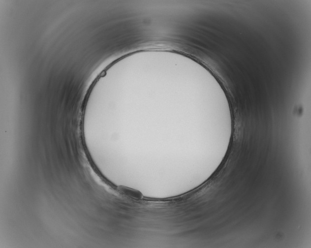 X0000113991484200911131107