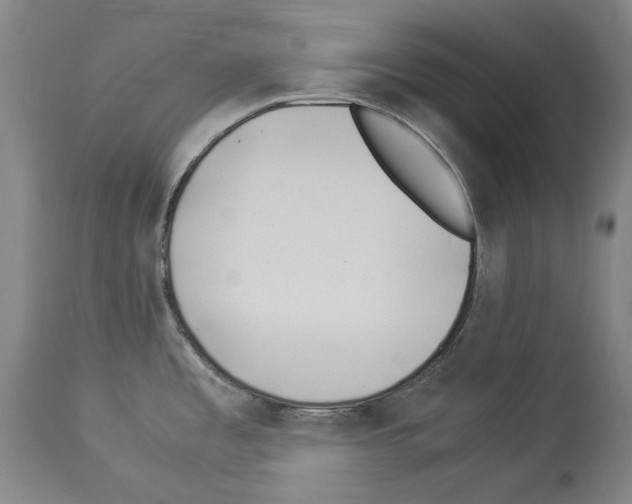 X0000113991485200911131107