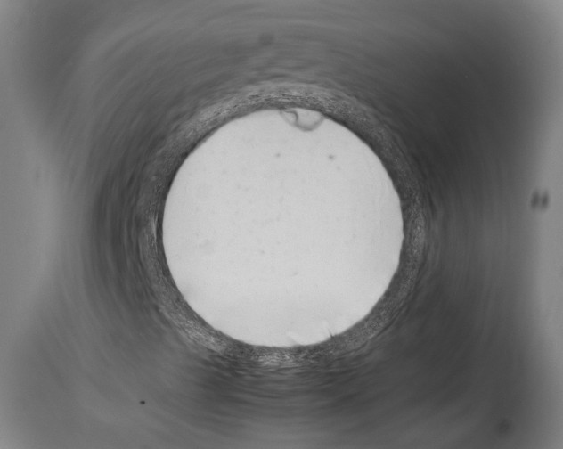 X0000113991489200911131106