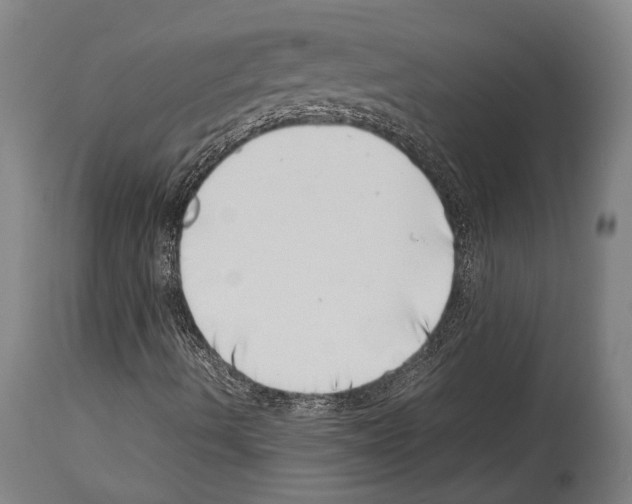 X0000113991490200911131106