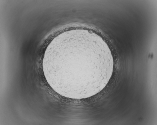 X0000113991495200911131106