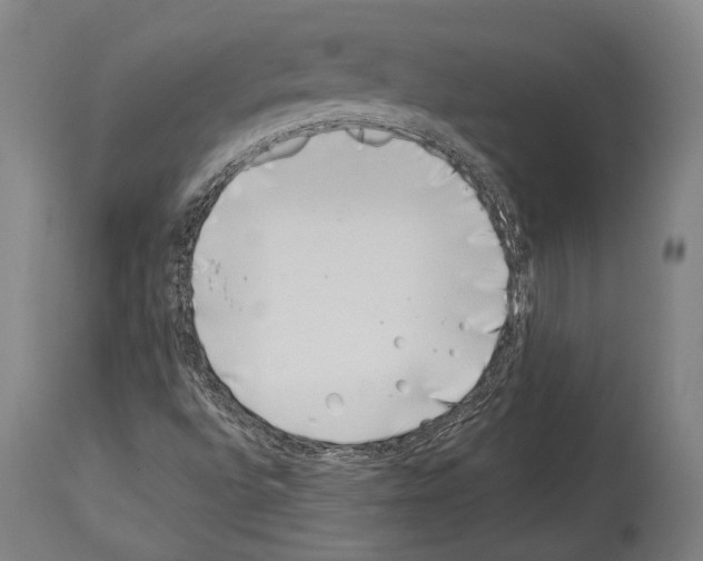 X0000113991496200911131106