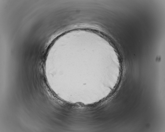 X0000113991497200911131106