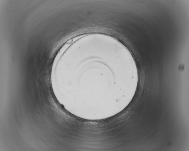 X0000113991500200911131106