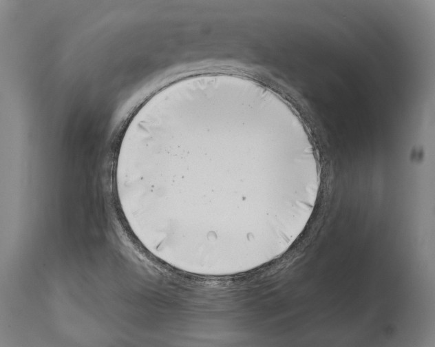 X0000113991504200911131106