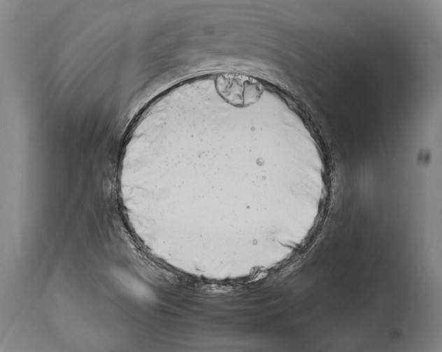 X0000113991505200911131106