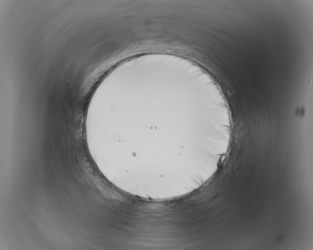 X0000113991507200911131106