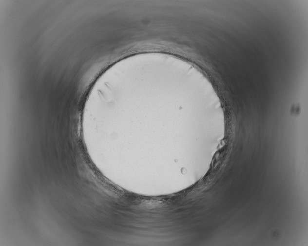 X0000113991509200911131106