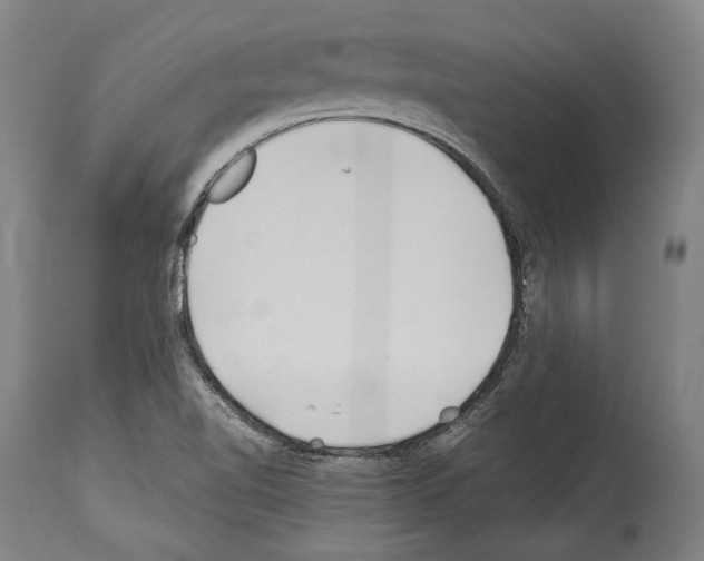 X0000113991510200911131106