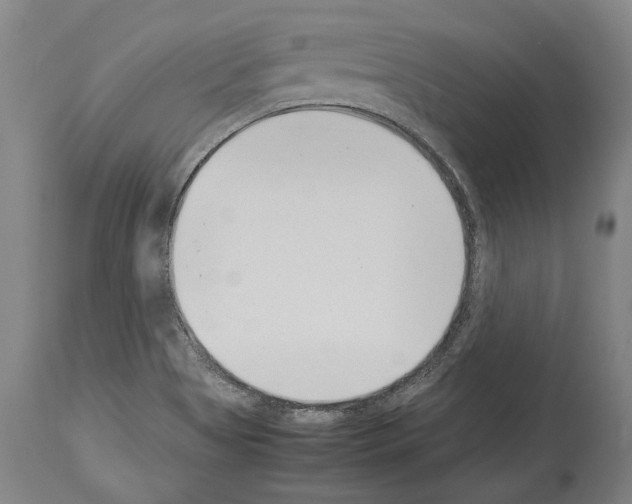 X0000113991513200911131106