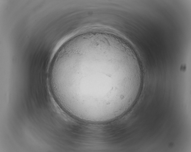 X0000113991514200911131106