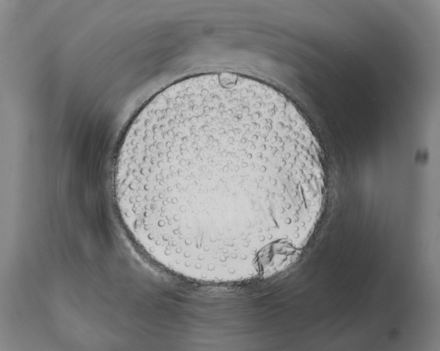 X0000113991517200911131106