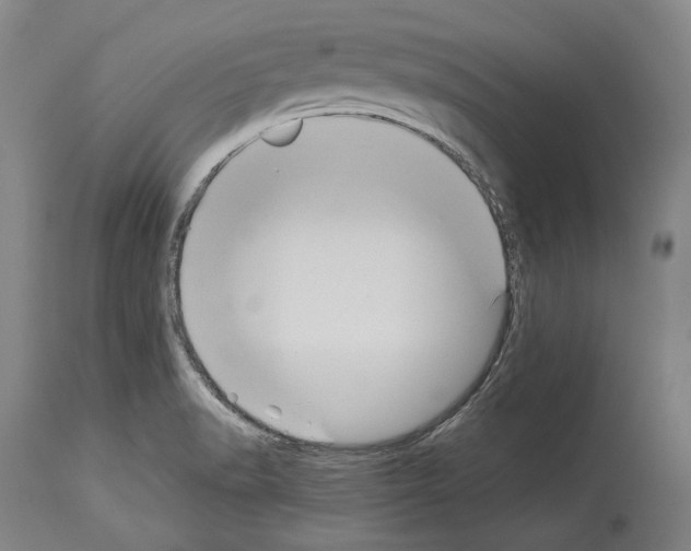 X0000113991518200911131106