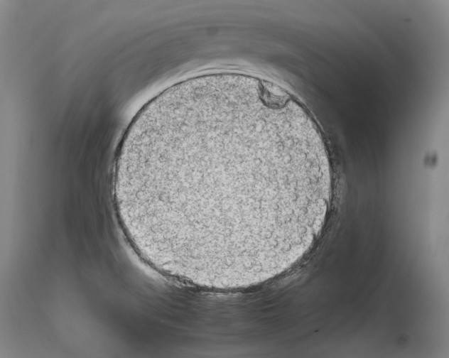 X0000113991519200911131106