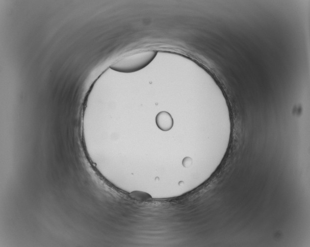 X0000113991520200911131106