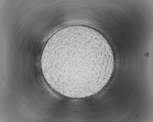 X0000113991521200911131106