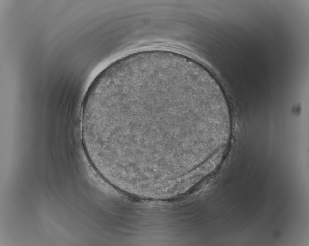 X0000113991522200911131106