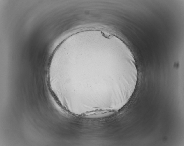 X0000113991523200911131107