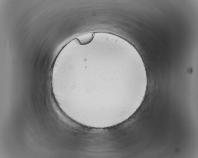 X0000113991526200911131107