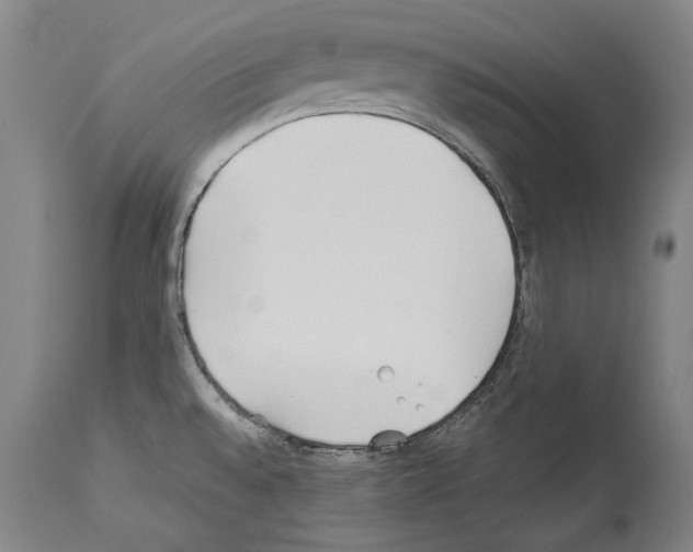 X0000113991528200911131107