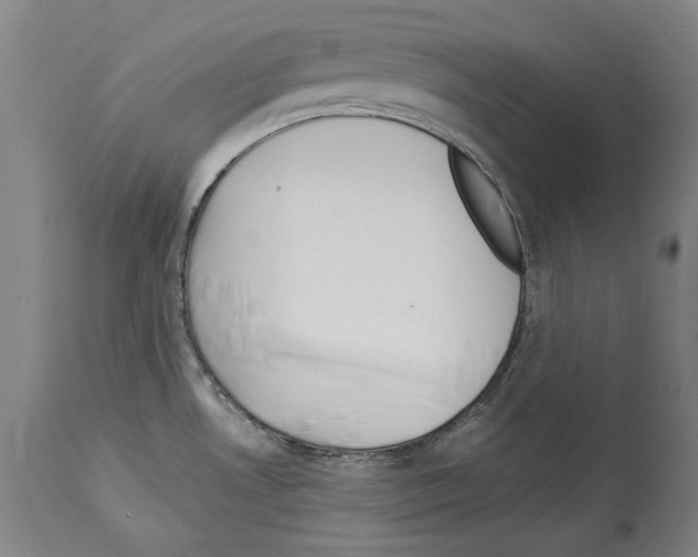 X0000113991530200911131107