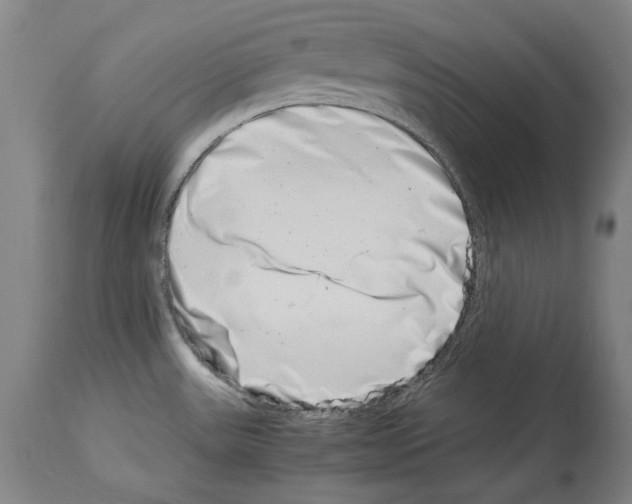 X0000113991531200911131107