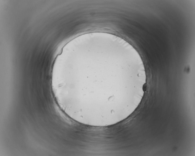 X0000113991532200911131107