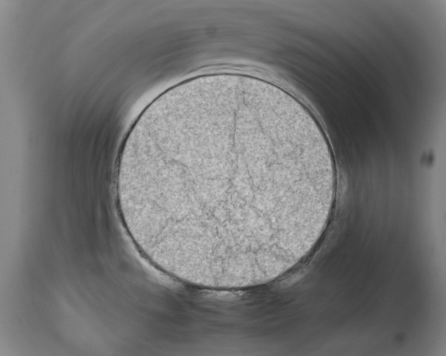 X0000113991533200911131107