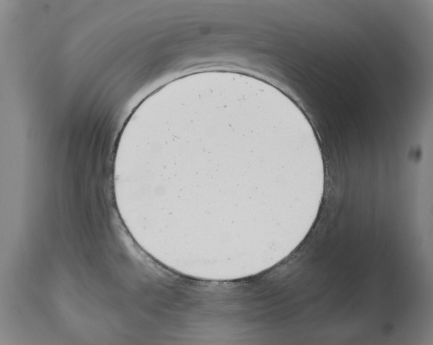 X0000113991534200911131107