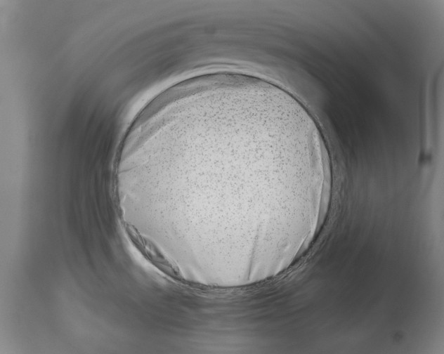 X0000113991535200911131107