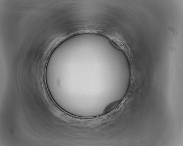 X0000114000001200910021040