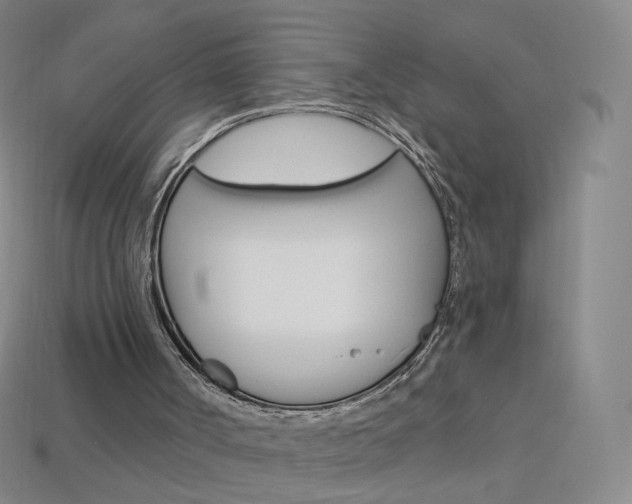 X0000114000002200910021040