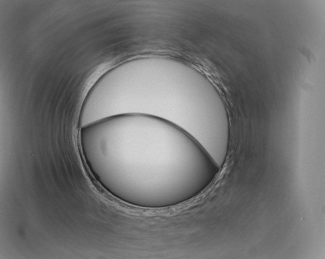 X0000114000003200910021040