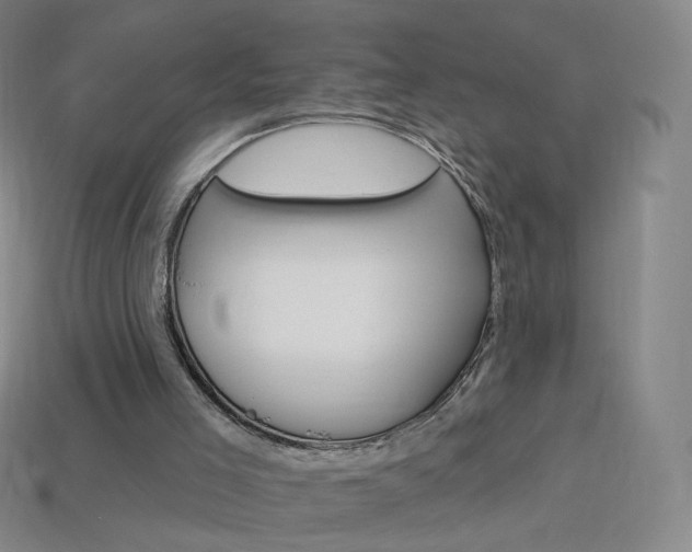 X0000114000005200910021040