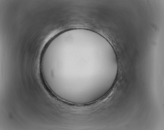 X0000114000008200910021040